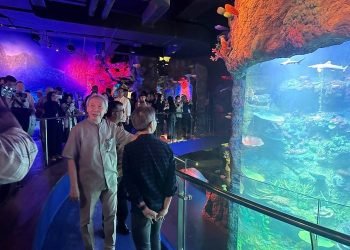 A8edea856 64c2 49ea A638 D47747fd6b25