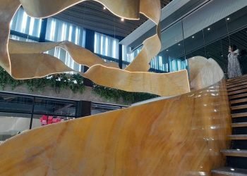 Whatsapp Image 2025 03 03 At 06.56.22