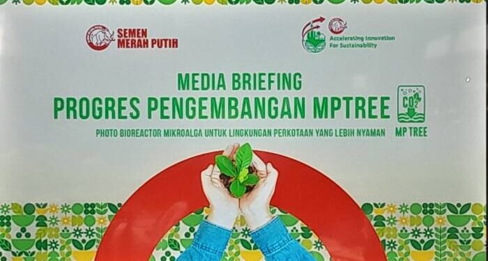 WhatsApp Image 2025 11 26 at 00.58.05