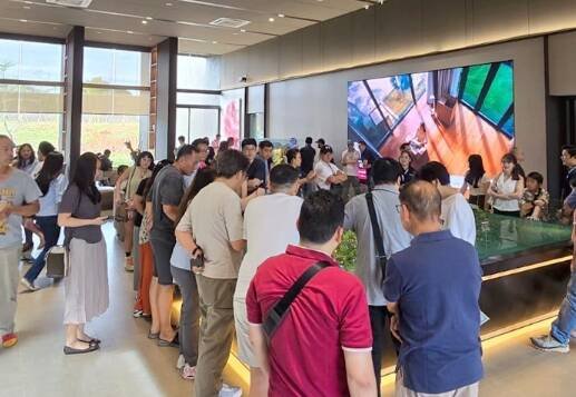 Foto 2 Kawasan Hunian Vireya