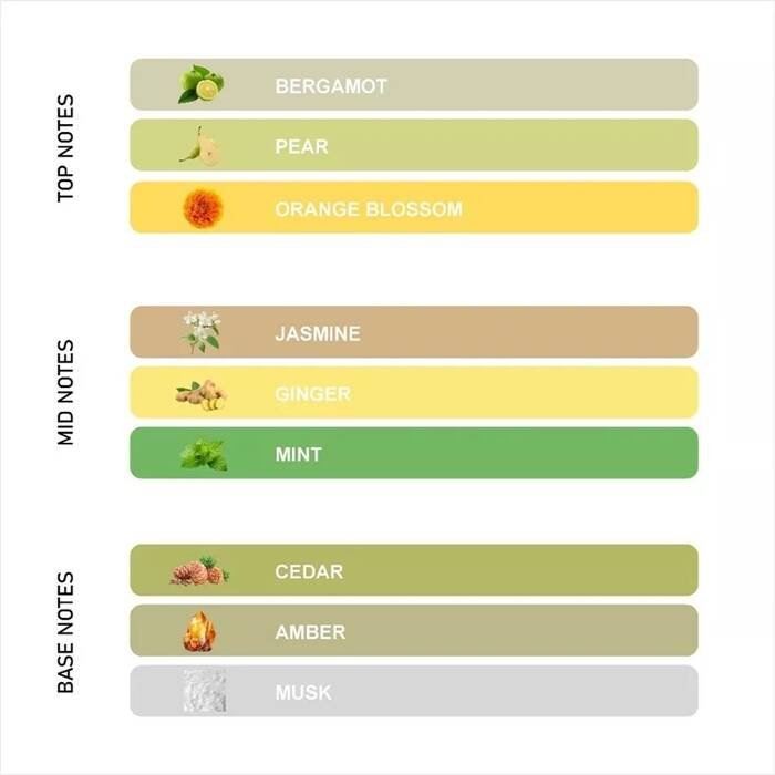 Varian Wangi Parfum The Tenth