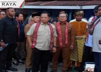 Screenshot 2026 03 03